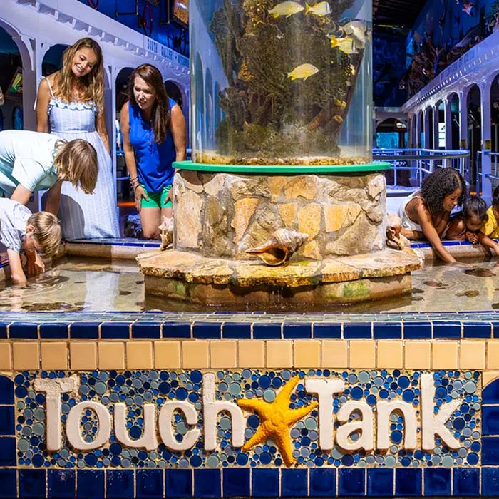 Interactive stingray feeding and marine encounters at Florida Keys Aquarium Marathon Florida